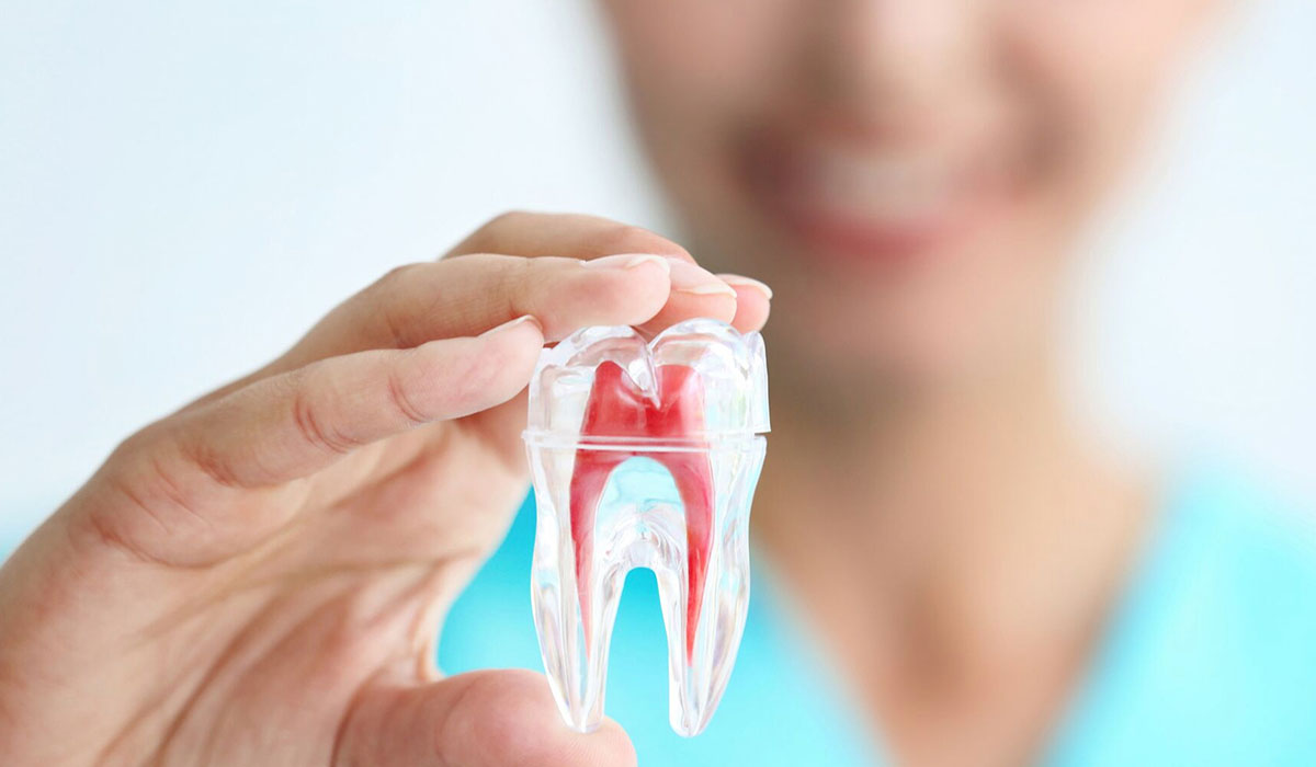 Painless Root Canal Treatment Gandhinagar: Saving Your Teeth with Comfort